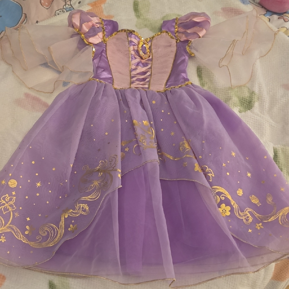 Disney Purple and Gold Theater Princess Costume